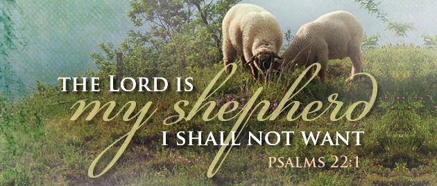 Good Shepherd Sunday
